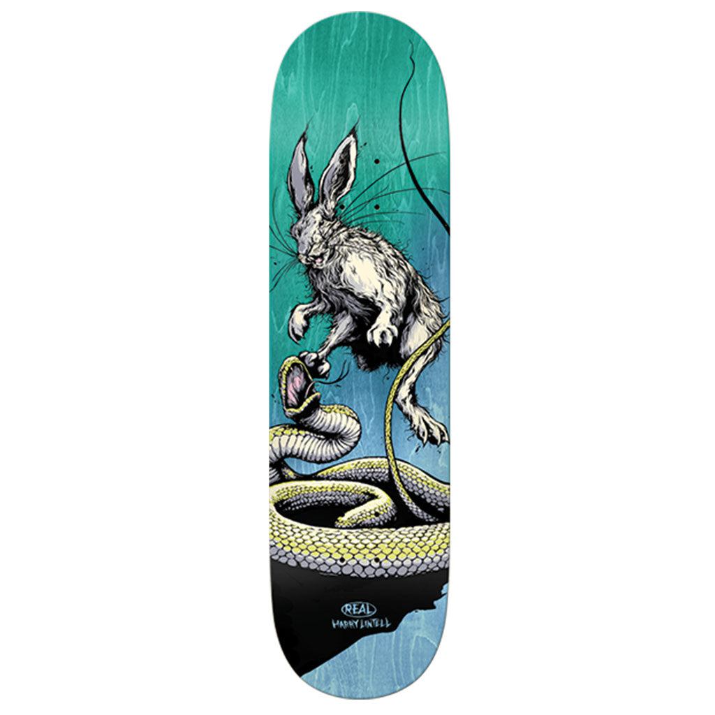 Real Lintell Prey Deck-8.4